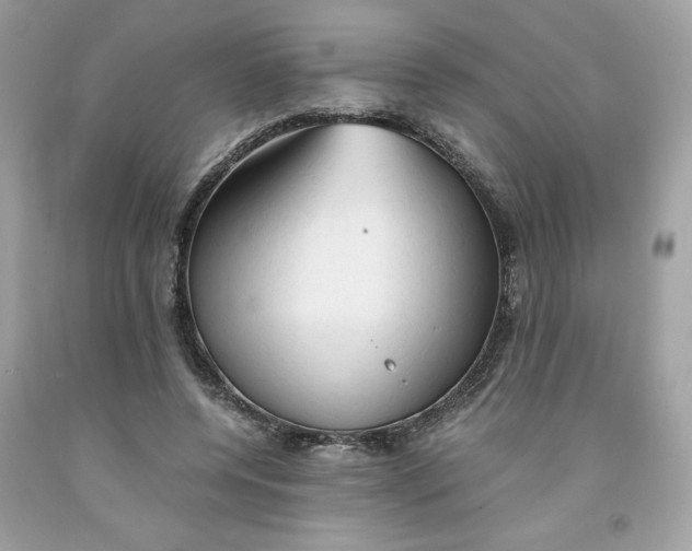 X0000091570544200709100958