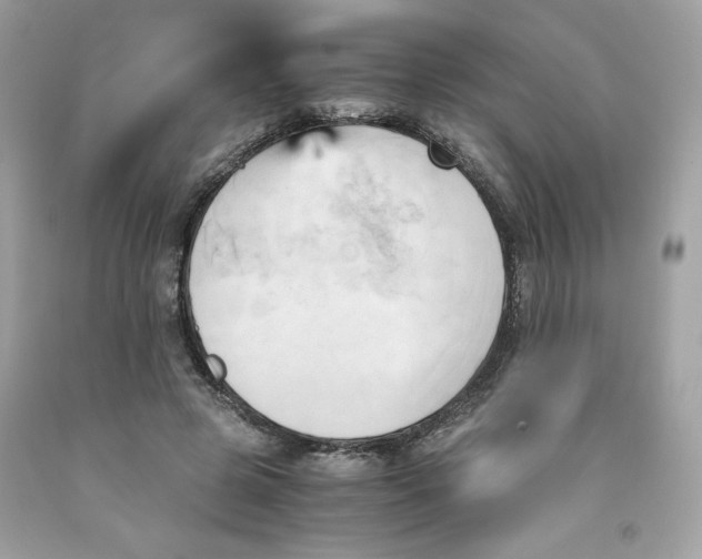 X0000091570545200709100958