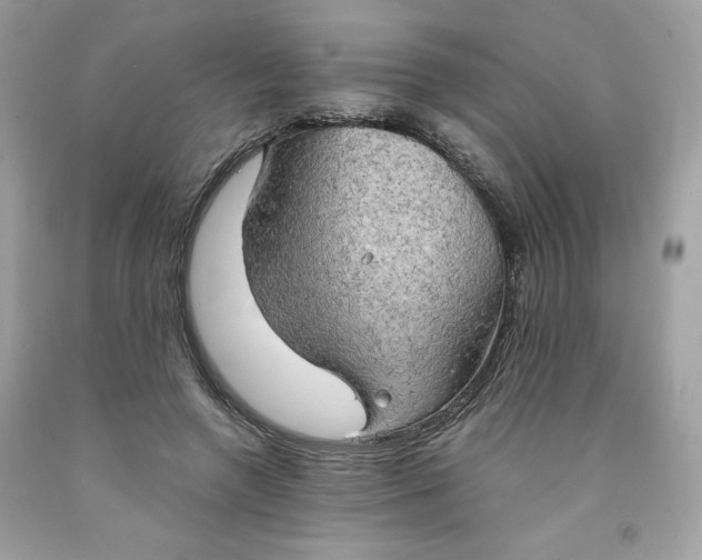 X0000091570546200709100958