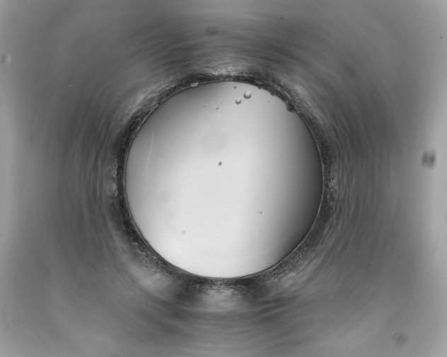 X0000091570547200709100958