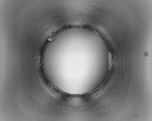 X0000091570548200709100958