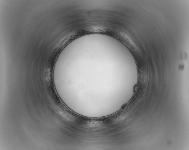 X0000091570549200709100959