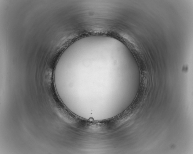 X0000091570550200709100959