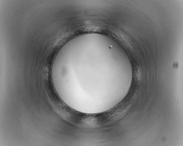 X0000091570551200709100959