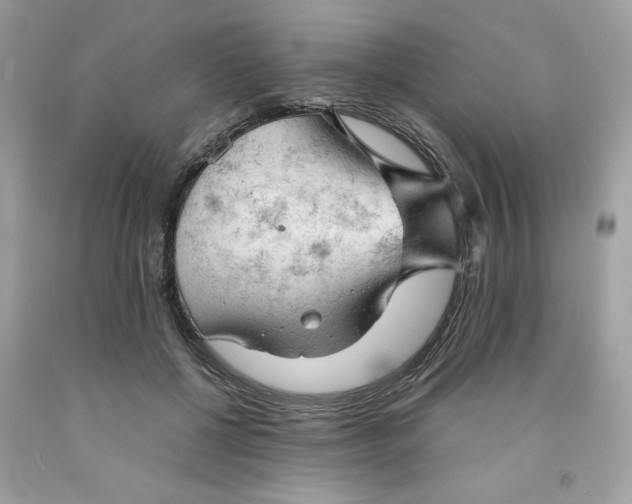 X0000091570552200709100959