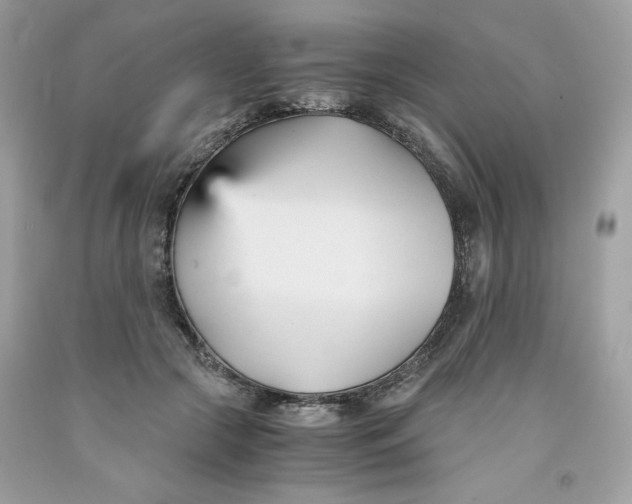 X0000091570553200709100959