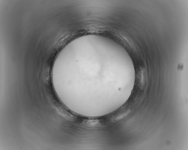 X0000091570554200709100959