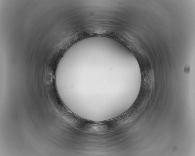 X0000091570555200709100959