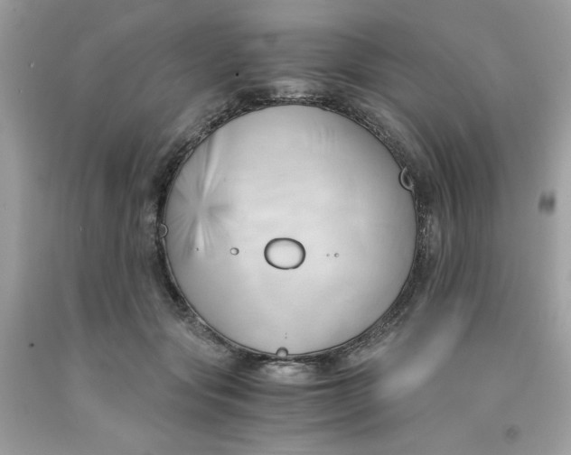 X0000091570557200709100959