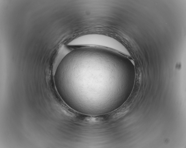 X0000091570558200709100959