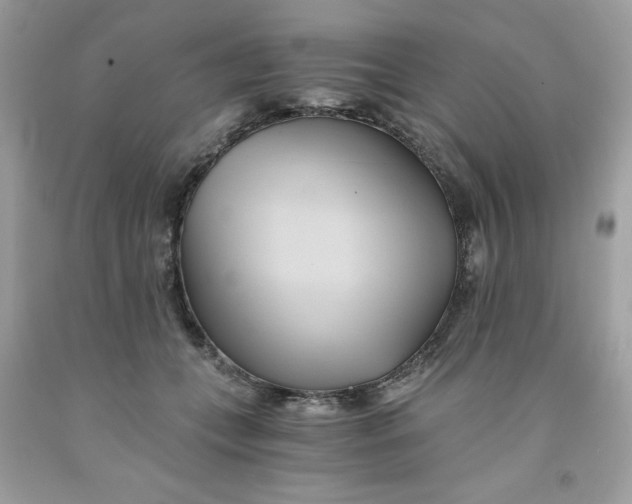 X0000091570559200709100959