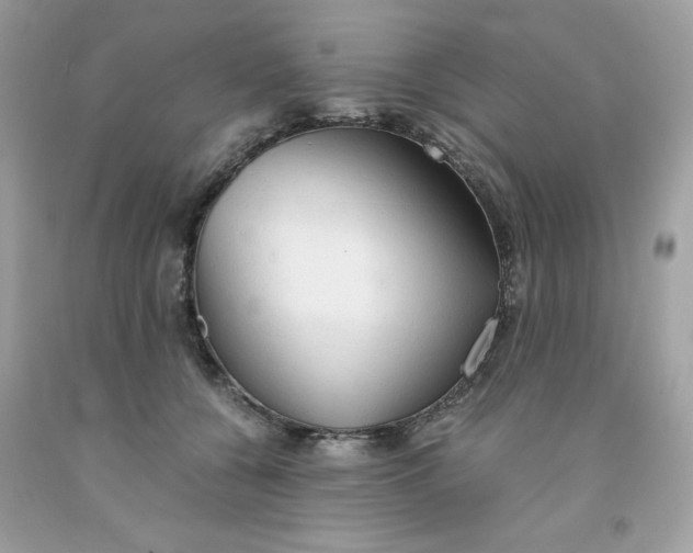 X0000091570560200709100959