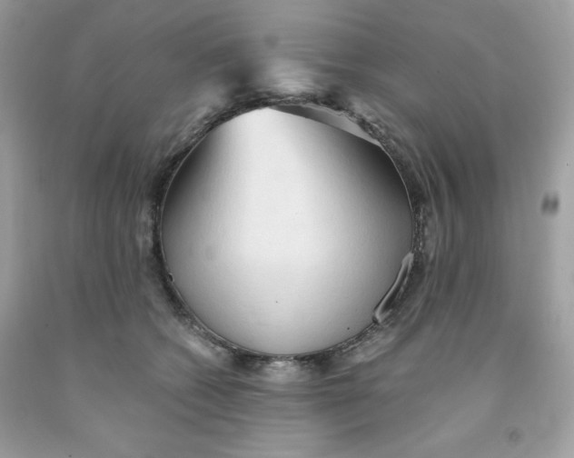 X0000091570562200709100959