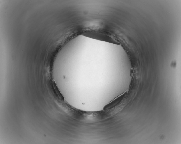 X0000091570564200709100959