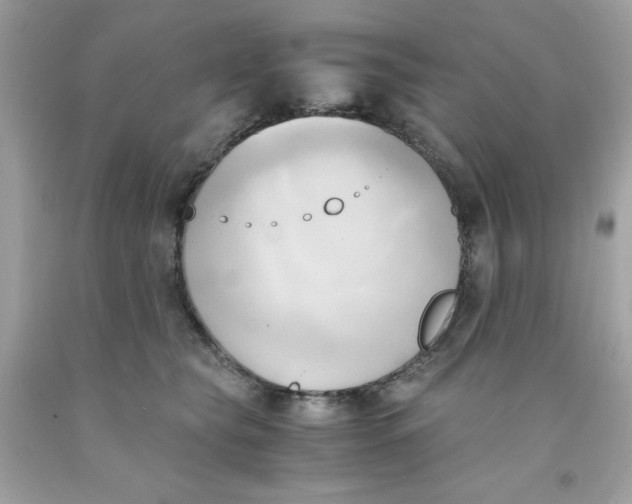 X0000091570565200709100959