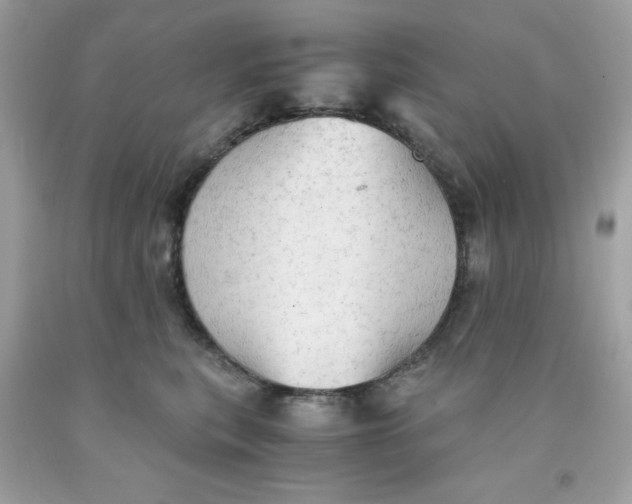 X0000091570567200709100959