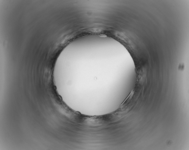 X0000091570568200709100959