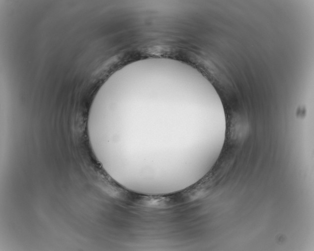 X0000091570569200709100959