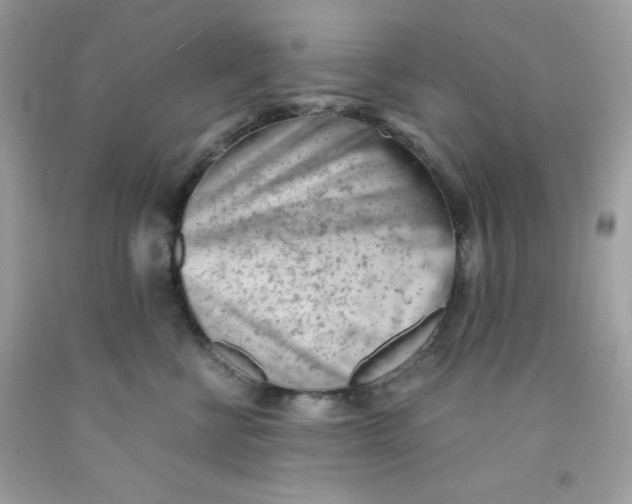 X0000091570570200709100959