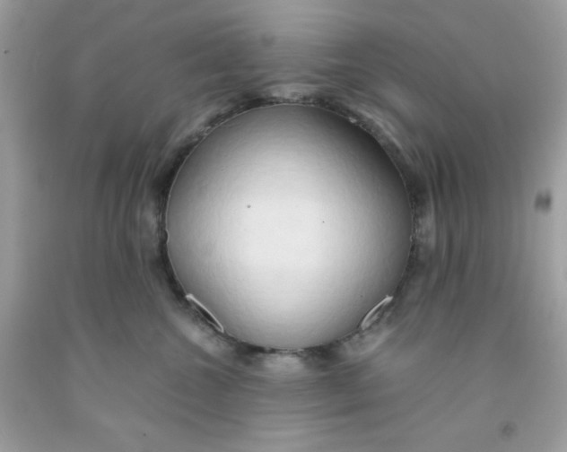 X0000091570572200709100959