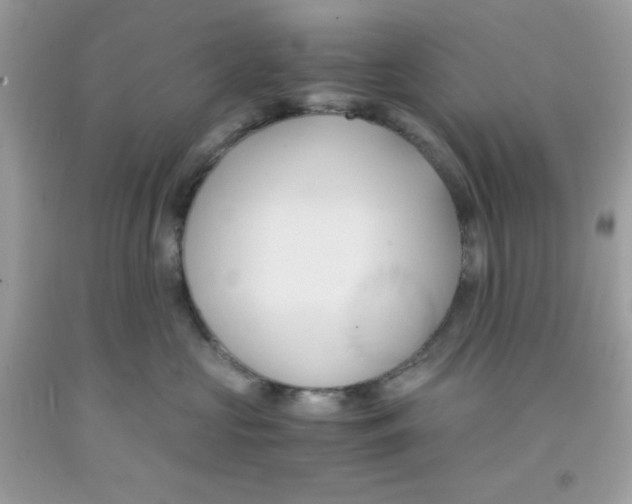 X0000091570573200709100959