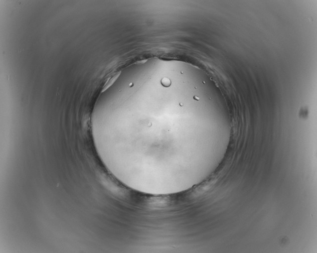 X0000091570574200709100959