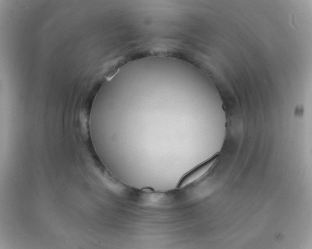 X0000091570575200709100959