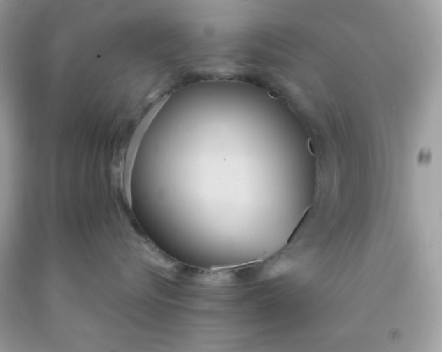 X0000091570576200709100959