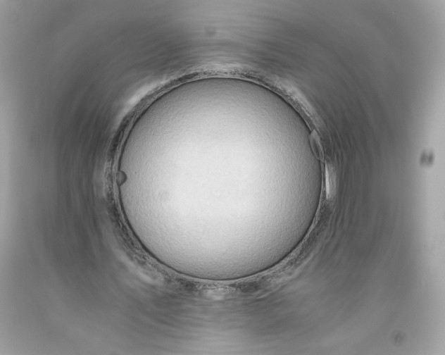 X0000091570579200709100958