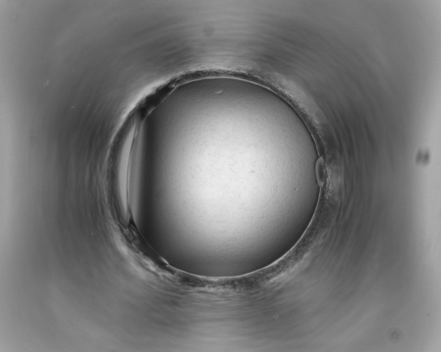 X0000091570580200709100958