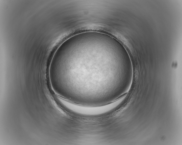 X0000091570581200709100958