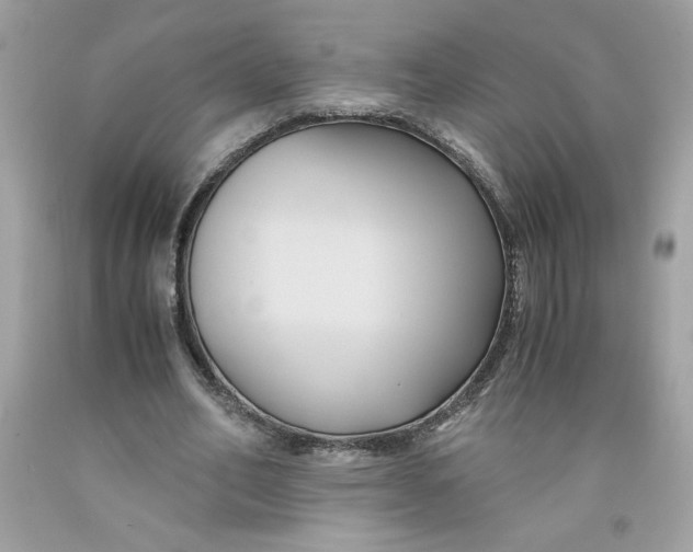 X0000091570582200709100958