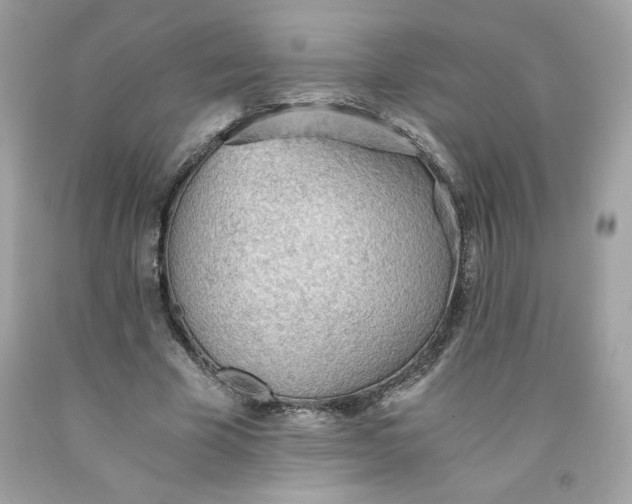 X0000091570585200709100958