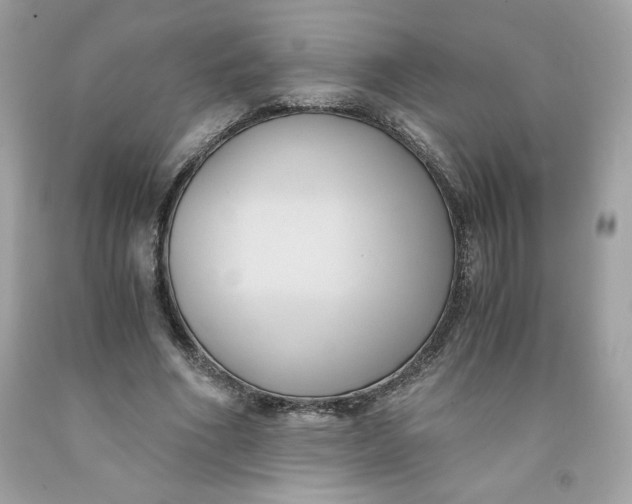 X0000091570586200709100958