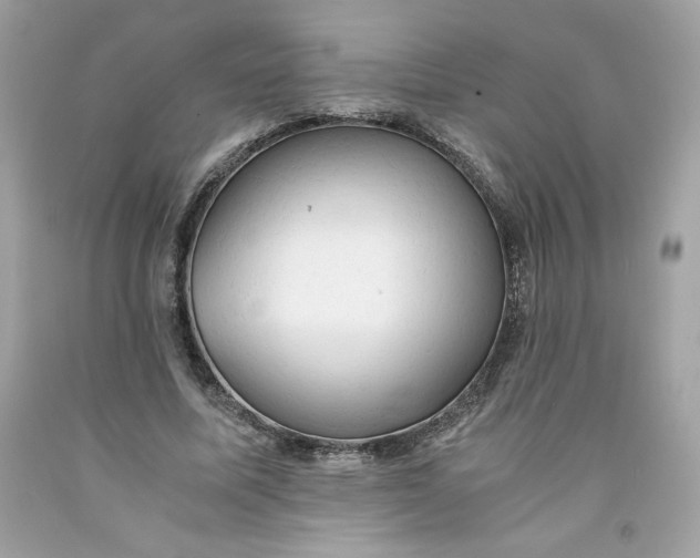 X0000091570587200709100958