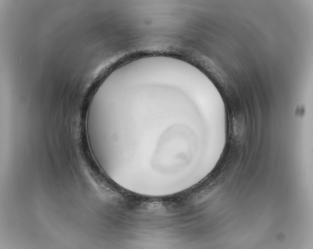 X0000091570588200709100958