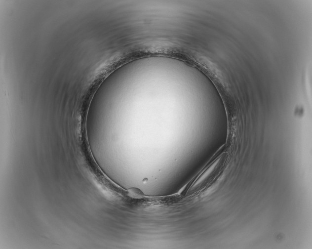 X0000091570589200709100958