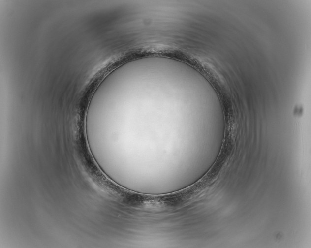 X0000091570591200709100958