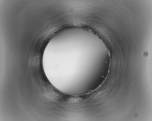 X0000091570595200709100958