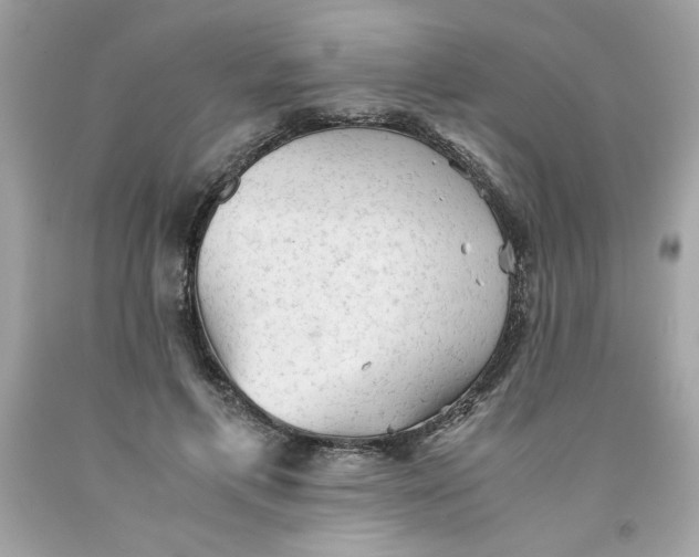 X0000091570597200709100958