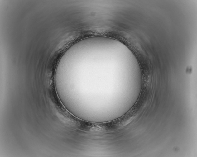 X0000091570599200709100958