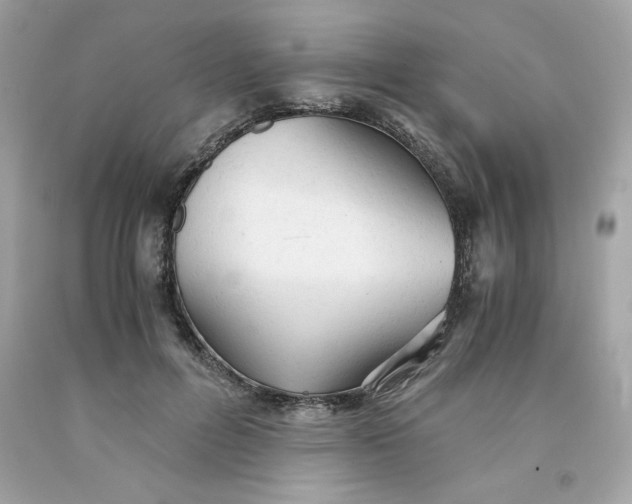 X0000091570600200709100958