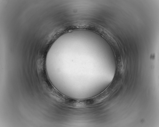 X0000091570604200709100958