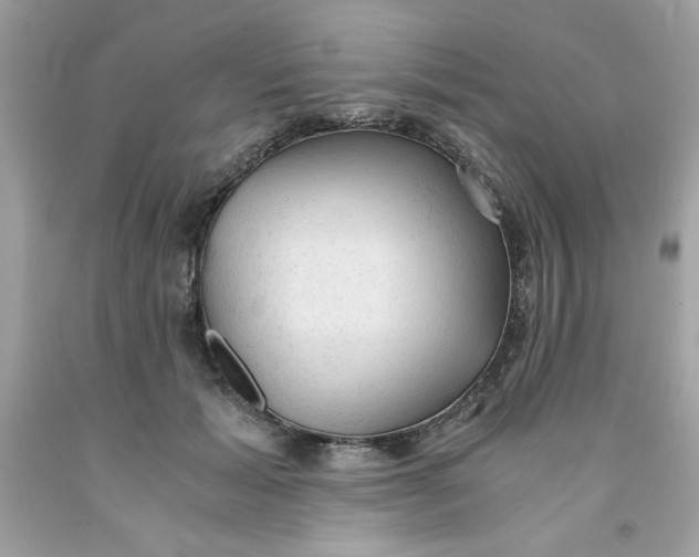 X0000091570605200709100958