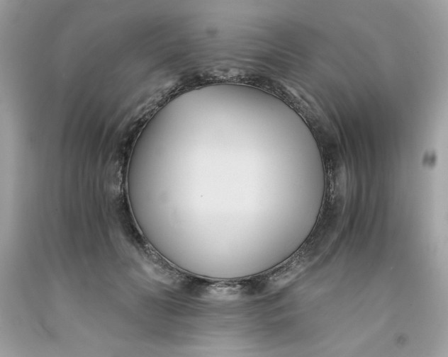 X0000091570606200709100958