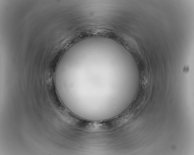 X0000091570607200709100958