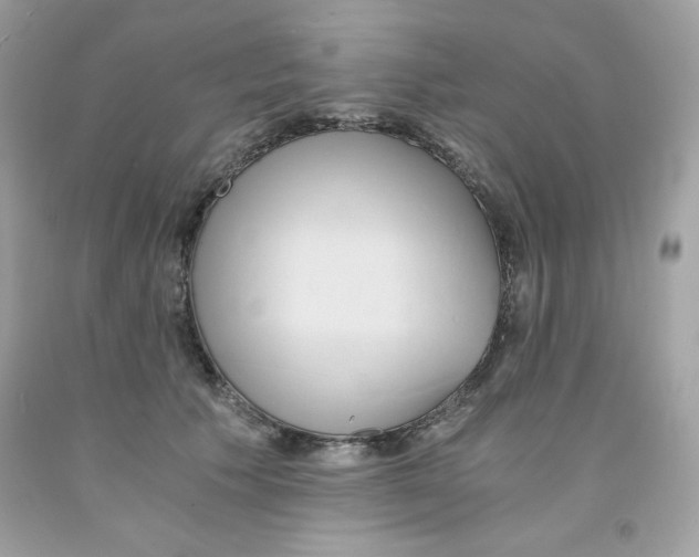 X0000091570609200709100958