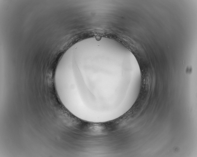 X0000091570610200709100958