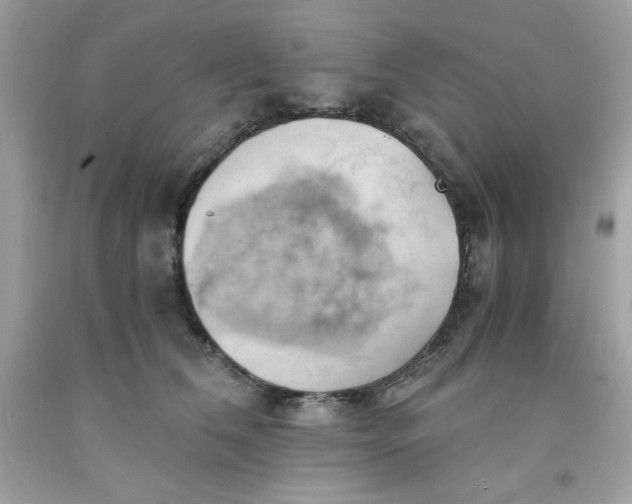 X0000091570612200709100958