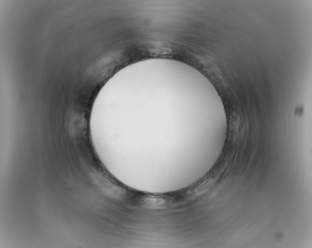 X0000091570614200709100958